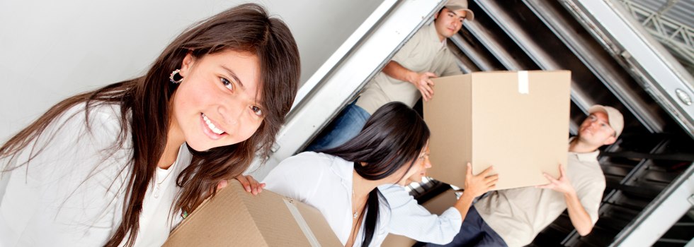 Professional Removalists Far West